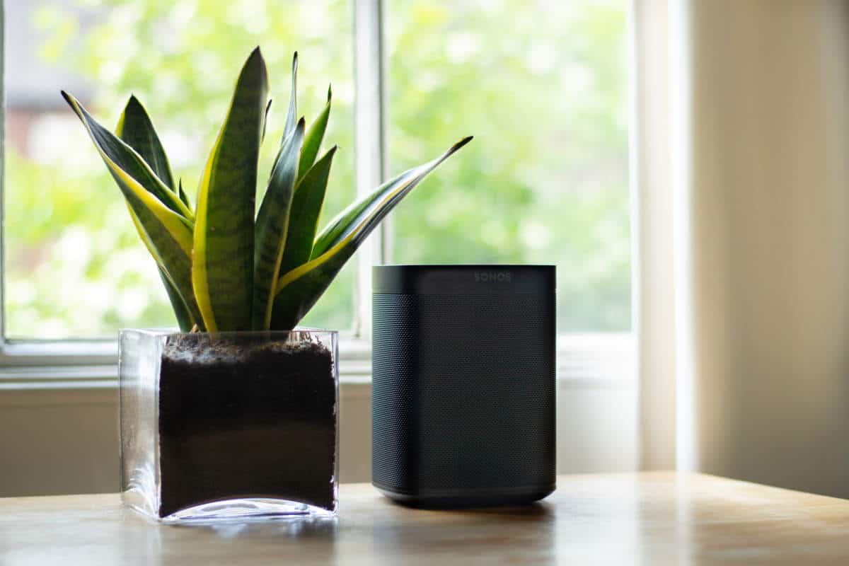 Sonos speaker by a plant