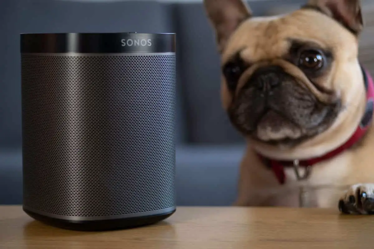 A dog beside a Sonos speaker