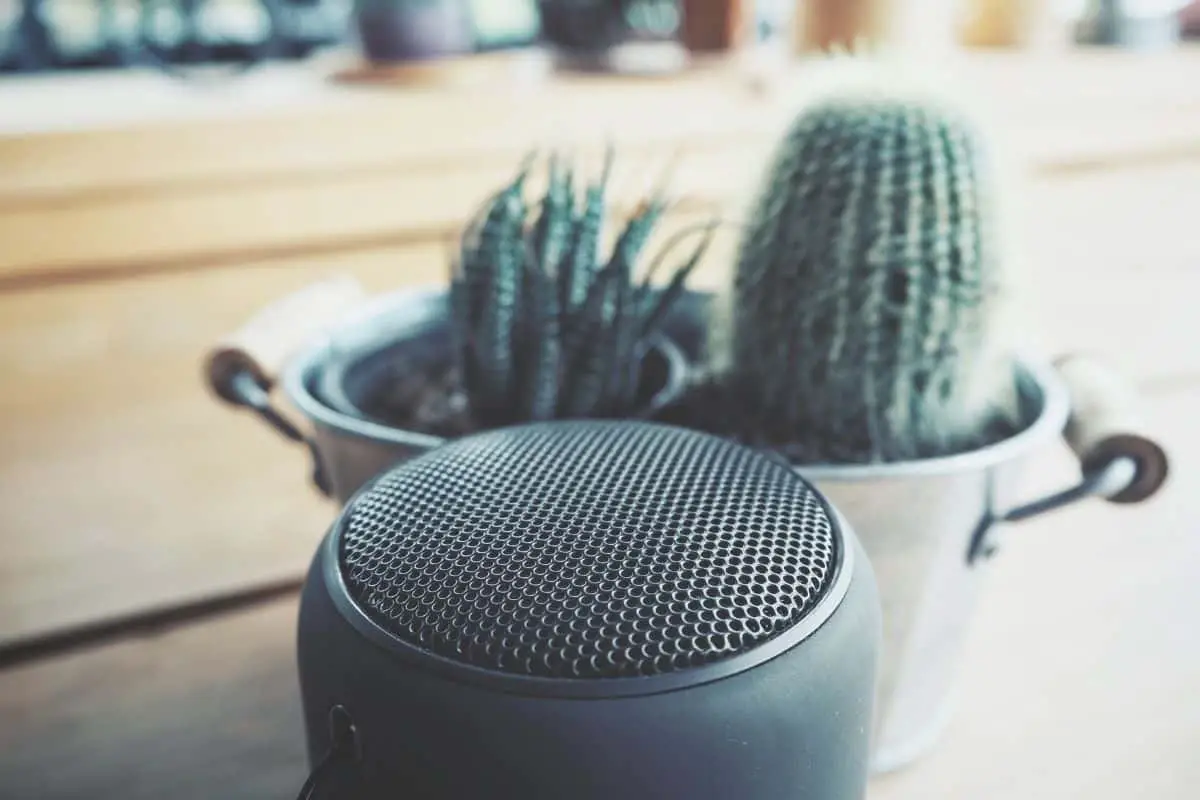 Can You Use Bluetooth Speakers While Charging? Ear Rockers
