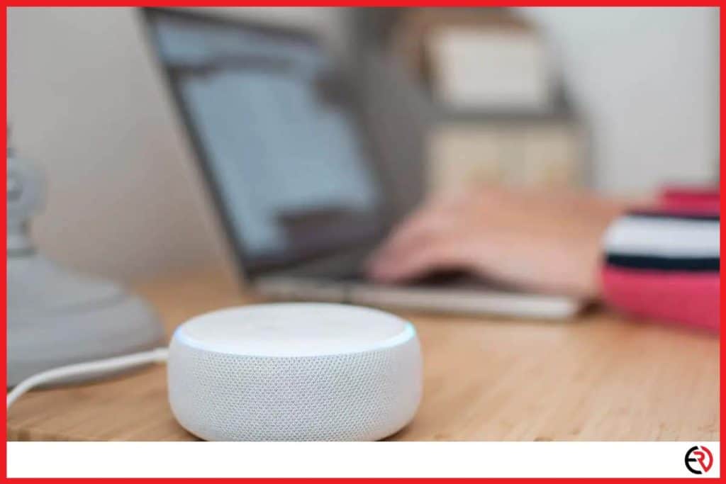 4 Reasons Why Your Alexa Speaker Stops Playing Music Ear Rockers